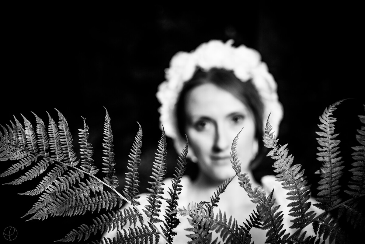 kociepaprocie-5573_5